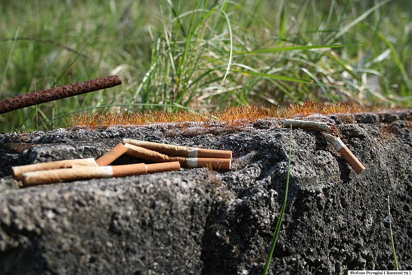 Cimitero di Vita